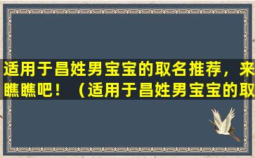 适用于昌姓男宝宝的取名推荐，来瞧瞧吧！（适用于昌姓男宝宝的取名推荐,来瞧瞧吧!）