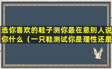 选你喜欢的鞋子测你最在意别人说你什么（一只鞋测试你是理性还是感性）