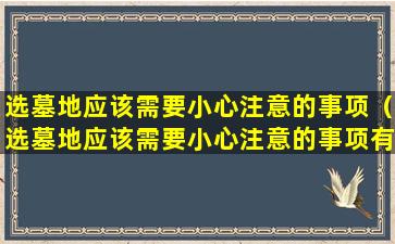 选墓地应该需要小心注意的事项（选墓地应该需要小心注意的事项有哪些）