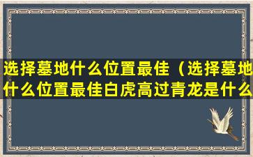 选择墓地什么位置最佳（选择墓地什么位置最佳白虎高过青龙是什么情况啊）