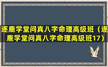 逐鹿学堂问真八字命理高级班（逐鹿学堂问真八字命理高级班17）