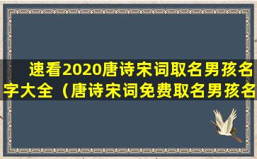 速看2020唐诗宋词取名男孩名字大全（唐诗宋词免费取名男孩名字）