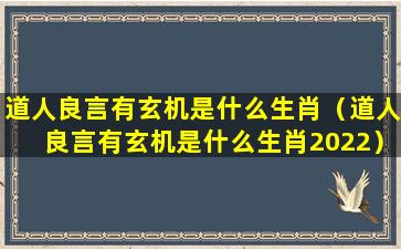 道人良言有玄机是什么生肖（道人良言有玄机是什么生肖2022）