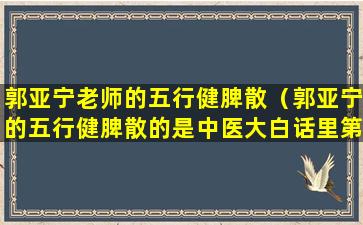 郭亚宁老师的五行健脾散（郭亚宁的五行健脾散的是中医大白话里第几节）