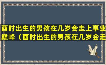 酉时出生的男孩在几岁会走上事业巅峰（酉时出生的男孩在几岁会走上事业巅峰之年）