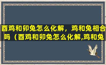 酉鸡和卯兔怎么化解，鸡和兔相合吗（酉鸡和卯兔怎么化解,鸡和兔相合吗）