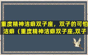 重度精神洁癖双子座，双子的可怕洁癖（重度精神洁癖双子座,双子的可怕洁癖）