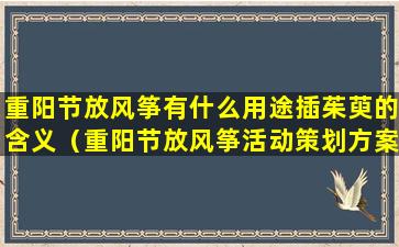 重阳节放风筝有什么用途插茱萸的含义（重阳节放风筝活动策划方案）