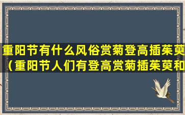 重阳节有什么风俗赏菊登高插茱萸（重阳节人们有登高赏菊插茱萸和喝什么酒的风俗）