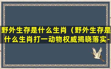 野外生存是什么生肖（野外生存是什么生肖打一动物权威揭晓落实-七财）