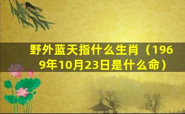 野外蓝天指什么生肖（1969年10月23日是什么命）