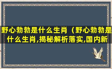 野心勃勃是什么生肖（野心勃勃是什么生肖,揭秘解析落实,国内新闻）