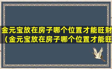 金元宝放在房子哪个位置才能旺财（金元宝放在房子哪个位置才能旺财运）