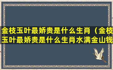 金枝玉叶最娇贵是什么生肖（金枝玉叶最娇贵是什么生肖水满金山钱满仓是什么生肖）