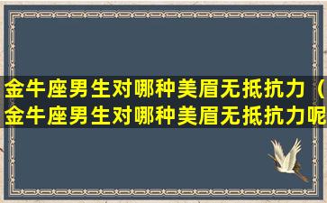 金牛座男生对哪种美眉无抵抗力（金牛座男生对哪种美眉无抵抗力呢）