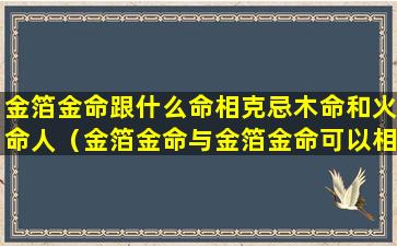 金箔金命跟什么命相克忌木命和火命人（金箔金命与金箔金命可以相配吗）