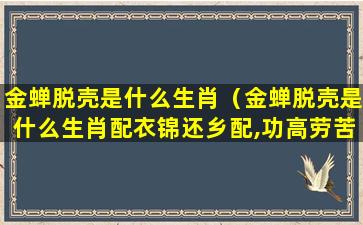 金蝉脱壳是什么生肖（金蝉脱壳是什么生肖配衣锦还乡配,功高劳苦）