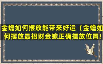 金蟾如何摆放能带来好运（金蟾如何摆放最招财金蟾正确摆放位置!）