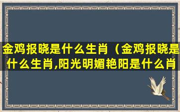 金鸡报晓是什么生肖（金鸡报晓是什么生肖,阳光明媚艳阳是什么肖）