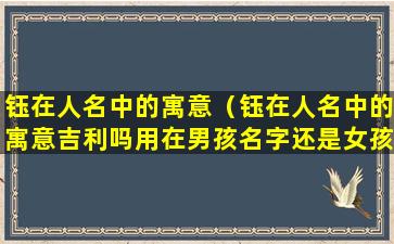 钰在人名中的寓意（钰在人名中的寓意吉利吗用在男孩名字还是女孩名字好）