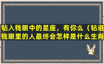 钻入钱眼中的星座，有你么（钻进钱眼里的人最终会怎样是什么生肖）