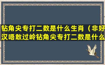 钻角尖专打二数是什么生肖（非好汉唔敢过岭钻角尖专打二数是什么生肖）