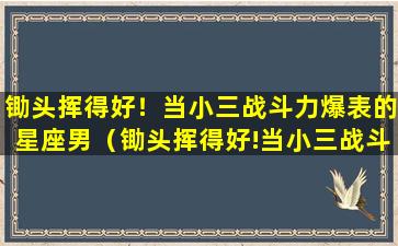 锄头挥得好！当小三战斗力爆表的星座男（锄头挥得好!当小三战斗力爆表的星座男）