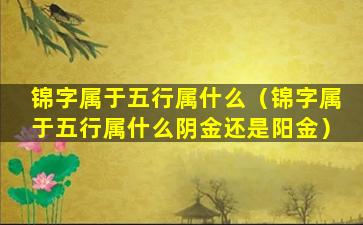 锦字属于五行属什么（锦字属于五行属什么阴金还是阳金）