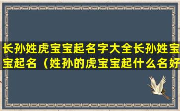 长孙姓虎宝宝起名字大全长孙姓宝宝起名（姓孙的虎宝宝起什么名好）