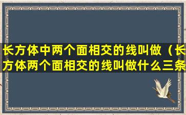 长方体中两个面相交的线叫做（长方体两个面相交的线叫做什么三条棱相交的点叫做什么）