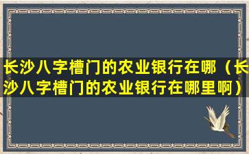 长沙八字槽门的农业银行在哪（长沙八字槽门的农业银行在哪里啊）