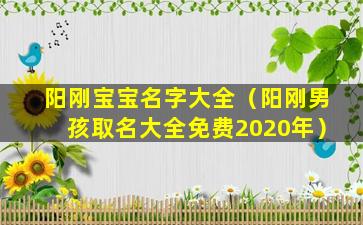 阳刚宝宝名字大全（阳刚男孩取名大全免费2020年）