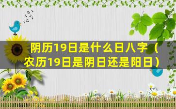 阴历19日是什么日八字（农历19日是阴日还是阳日）