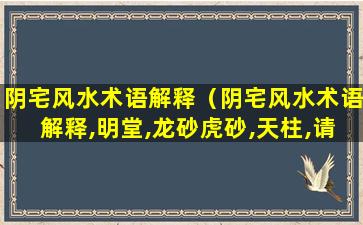 阴宅风水术语解释（阴宅风水术语解释,明堂,龙砂虎砂,天柱,请大师指教）