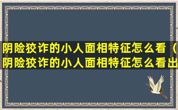 阴险狡诈的小人面相特征怎么看（阴险狡诈的小人面相特征怎么看出来）