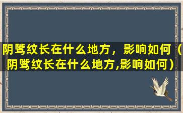 阴骘纹长在什么地方，影响如何（阴骘纹长在什么地方,影响如何）