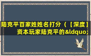 陆克平百家姓姓名打分（【深度】资本玩家陆克平的“败局”）