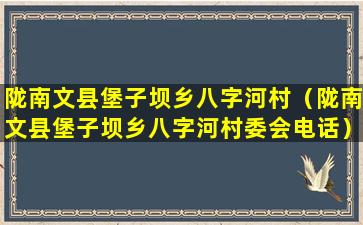 陇南文县堡子坝乡八字河村（陇南文县堡子坝乡八字河村委会电话）