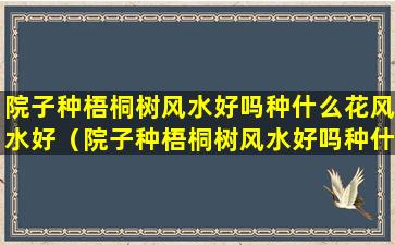 院子种梧桐树风水好吗种什么花风水好（院子种梧桐树风水好吗种什么花风水好呢）