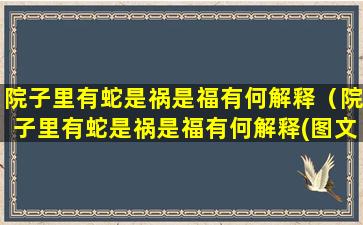 院子里有蛇是祸是福有何解释（院子里有蛇是祸是福有何解释(图文)）