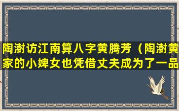 陶澍访江南算八字黄腾芳（陶澍黄家的小婢女也凭借丈夫成为了一品诰命夫人）