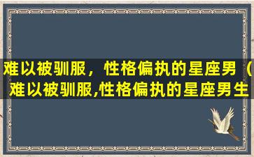 难以被驯服，性格偏执的星座男（难以被驯服,性格偏执的星座男生）