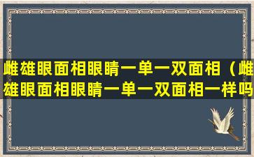 雌雄眼面相眼睛一单一双面相（雌雄眼面相眼睛一单一双面相一样吗）