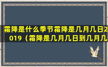 霜降是什么季节霜降是几月几日2019（霜降是几月几日到几月几日）