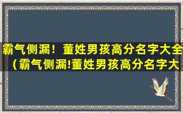 霸气侧漏！董姓男孩高分名字大全（霸气侧漏!董姓男孩高分名字大全）