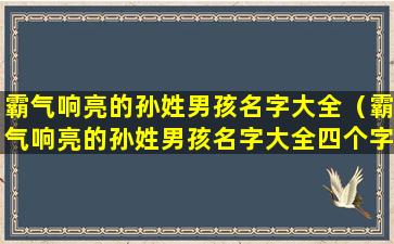 霸气响亮的孙姓男孩名字大全（霸气响亮的孙姓男孩名字大全四个字）