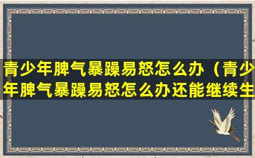 青少年脾气暴躁易怒怎么办（青少年脾气暴躁易怒怎么办还能继续生活在一起吗）