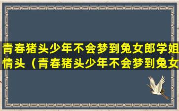 青春猪头少年不会梦到兔女郎学姐情头（青春猪头少年不会梦到兔女郎学姐情头一左一右）