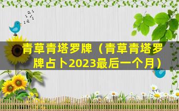 青草青塔罗牌（青草青塔罗牌占卜2023最后一个月）