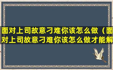 面对上司故意刁难你该怎么做（面对上司故意刁难你该怎么做才能解决）